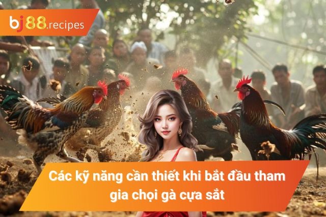 Đá Gà Cựa Sắt BJ88 - Hình Thức Cá Độ Ăn Khách Bậc Nhất Hiện Nay Kỹ năng hữu ý mà sư kê cần biết rõ khi chơi chọi kê cựa sắt