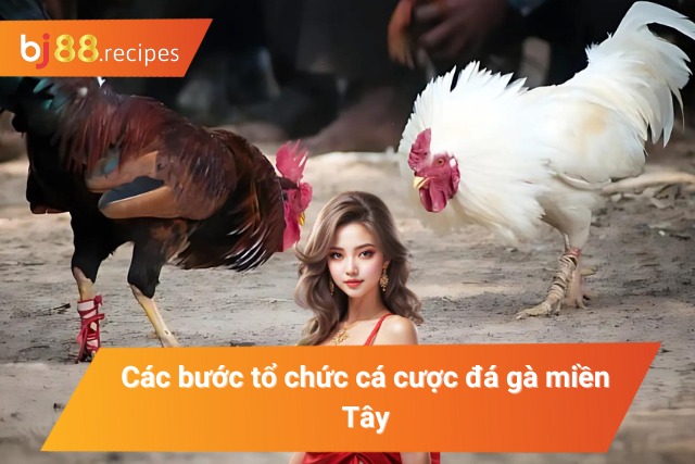 Làm Giàu Siêu Tốc Nhờ Bắt Kèo Đá Gà Miền Tây Chính Xác Cách tham gia đá gà cho người mới