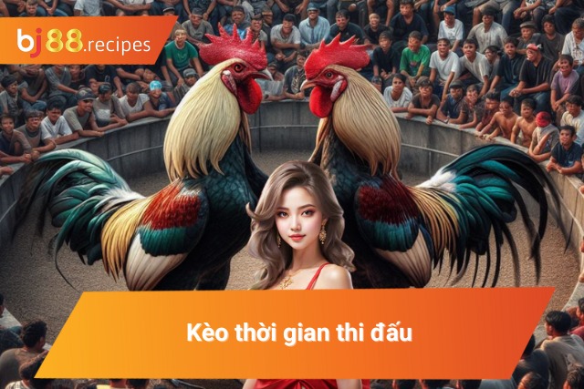 Làm Giàu Siêu Tốc Nhờ Bắt Kèo Đá Gà Miền Tây Chính Xác Kèo thời gian thi đấu trong đá gà