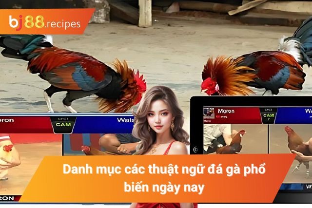 Khám Phá Các Thuật Ngữ Đá Gà Mà Tân Thủ Cần Phải Nắm Các thuật ngữ về bộ môn đá gà hiện nay