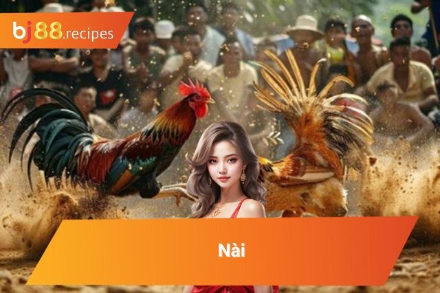Khám Phá Các Thuật Ngữ Đá Gà Mà Tân Thủ Cần Phải Nắm Thuật ngữ nài khi đá gà anh em cần phải nắm