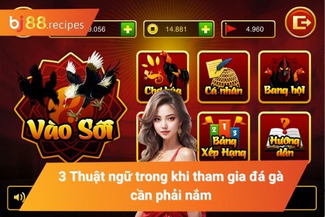 Khám Phá Các Thuật Ngữ Đá Gà Mà Tân Thủ Cần Phải Nắm Top các thuật ngữ khi tham gia mà tân thủ cần nắm